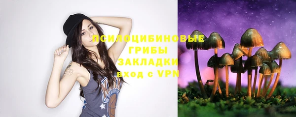 гидра Алзамай