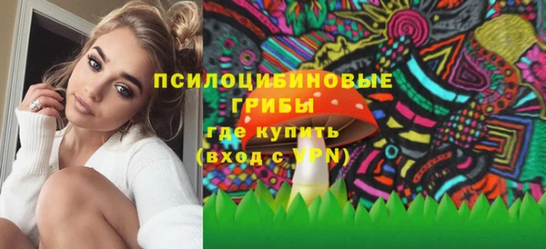 гидра Алзамай