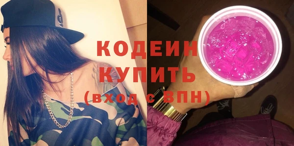 индика Кинешма